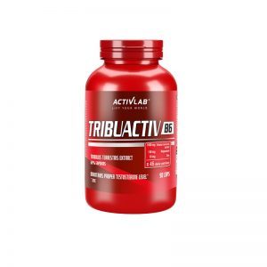 Activlab-TribuActiv-B6-90tab